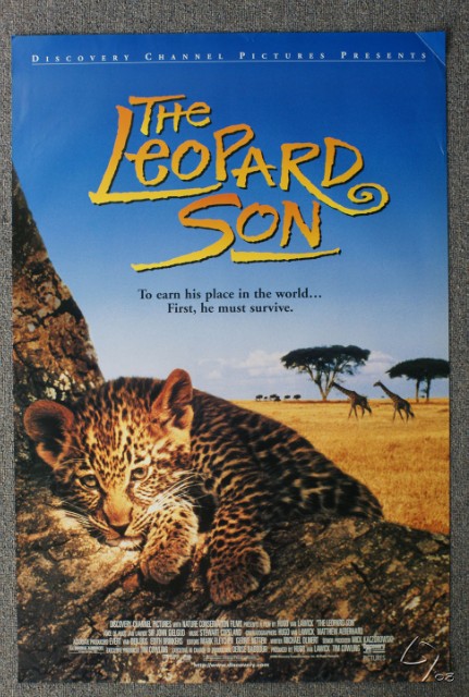leopard son.JPG